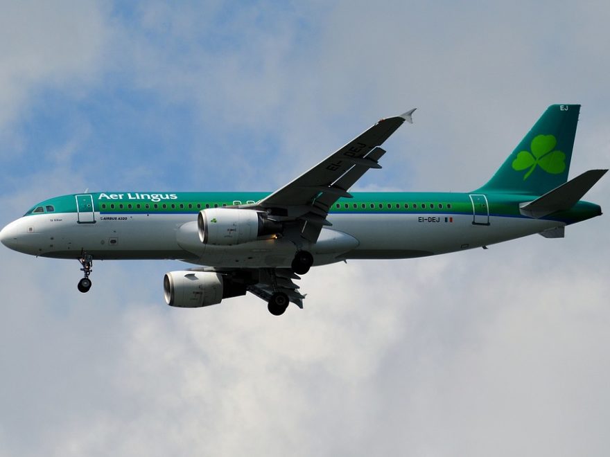 Aer Lingus handbagage